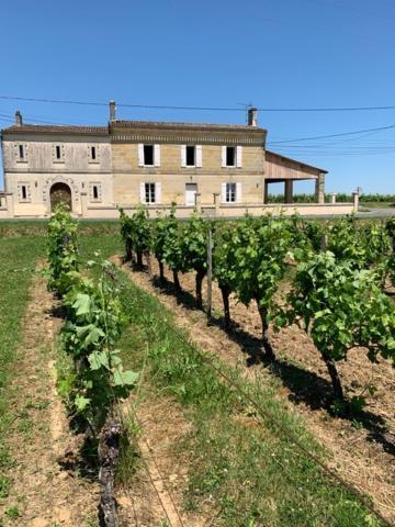 Gite Du Chateau La Rose Des Vents Βίλα Puisseguin Εξωτερικό φωτογραφία